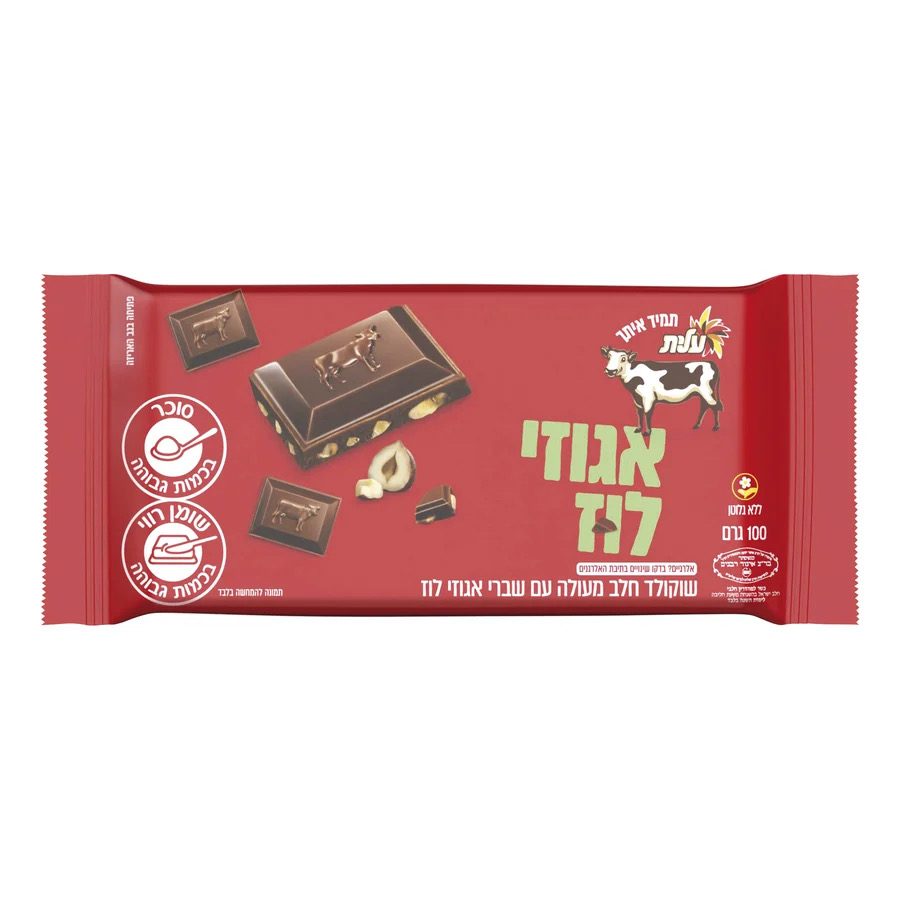 עלית שוקולד חלב עם אגוזי לוז 100 גרם